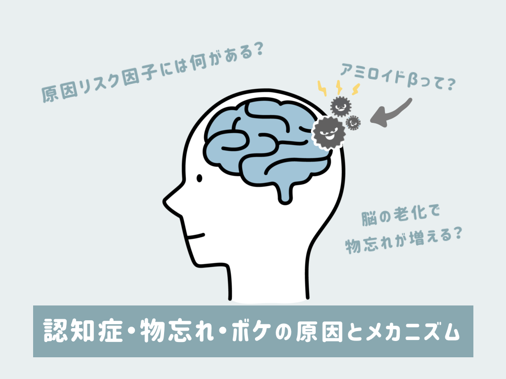 種類別認知症の発症割合