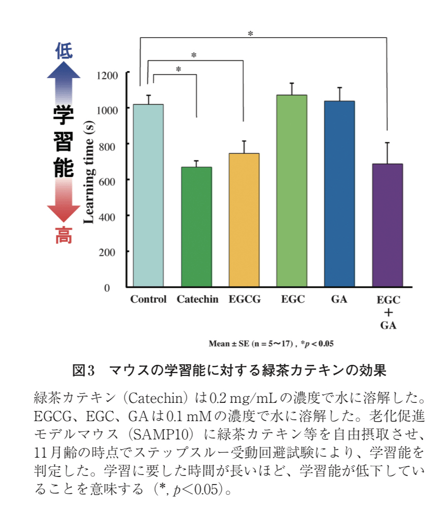 マウスの学習能に対する緑茶カテキンの効果