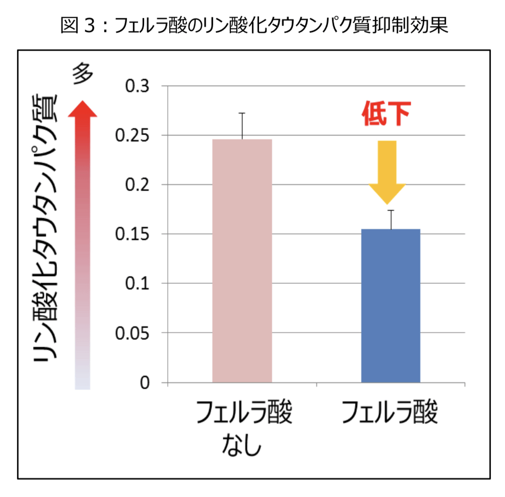 フェルラ酸のリン酸化タウタンパク質抑制効果