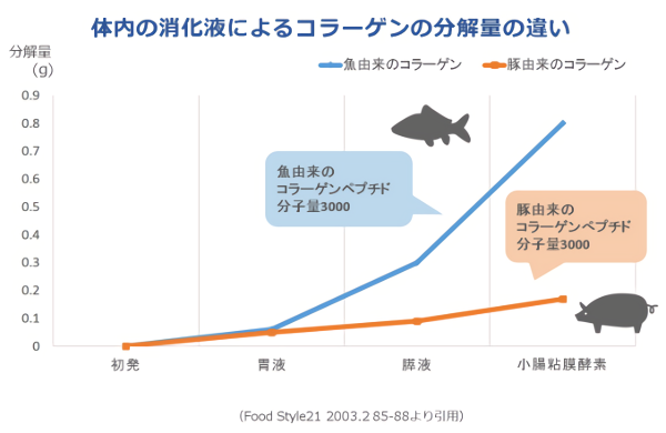 体内の消化液によるコラーゲンの分解量の違い