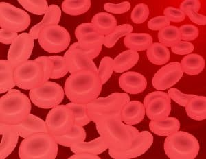 サプリ成分の目的分類1:血流の健全化