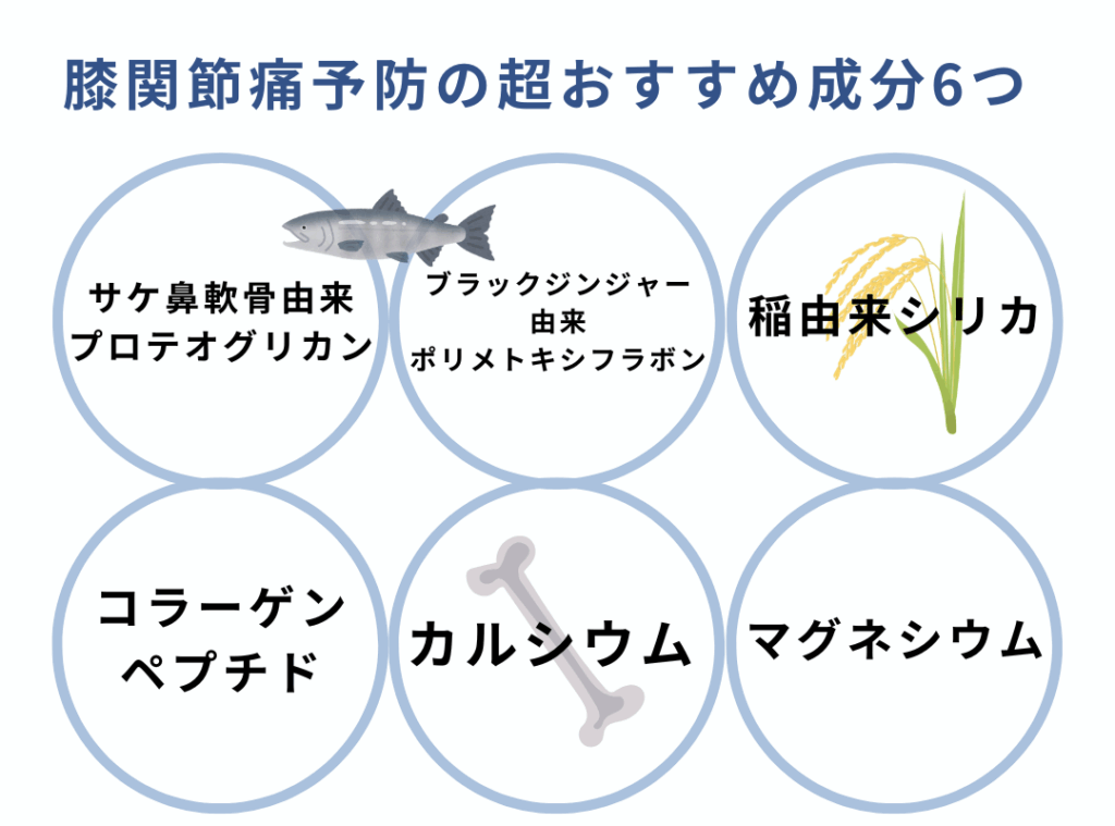 膝関節痛治療のおすすめ成分。
「サケ鼻軟骨由来プロテオグリカン」「ブラックジンジャー由来ポリメトキシフラボン」「稲由来シリカ」「コラーゲンペプチド」「カルシウム」「マグネシウム」の6種類が代表的。