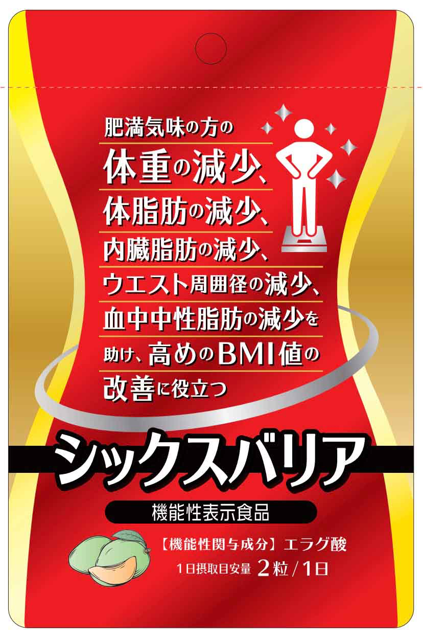 シックスバリア