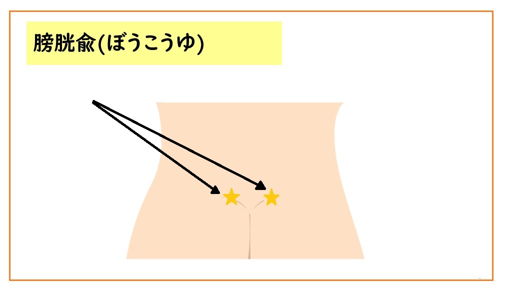 頻尿のツボ「膀胱兪」。お尻の割れ目のすぐ上に位置している。