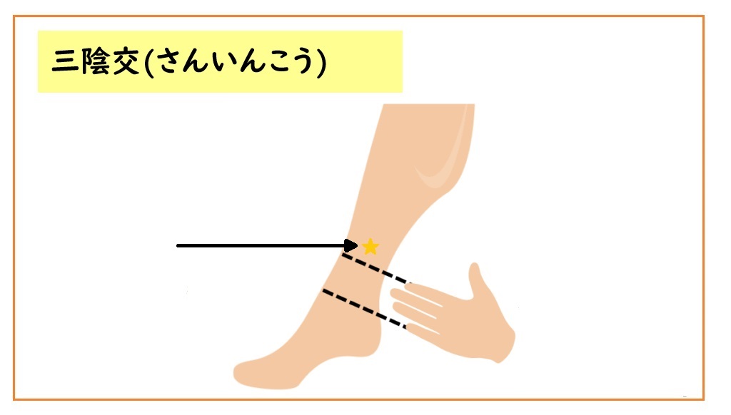 頻尿のツボ「三陰交」。内くるぶしの上に位置している。